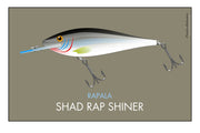 Shad Rap Shiner | Fishing Lure Art